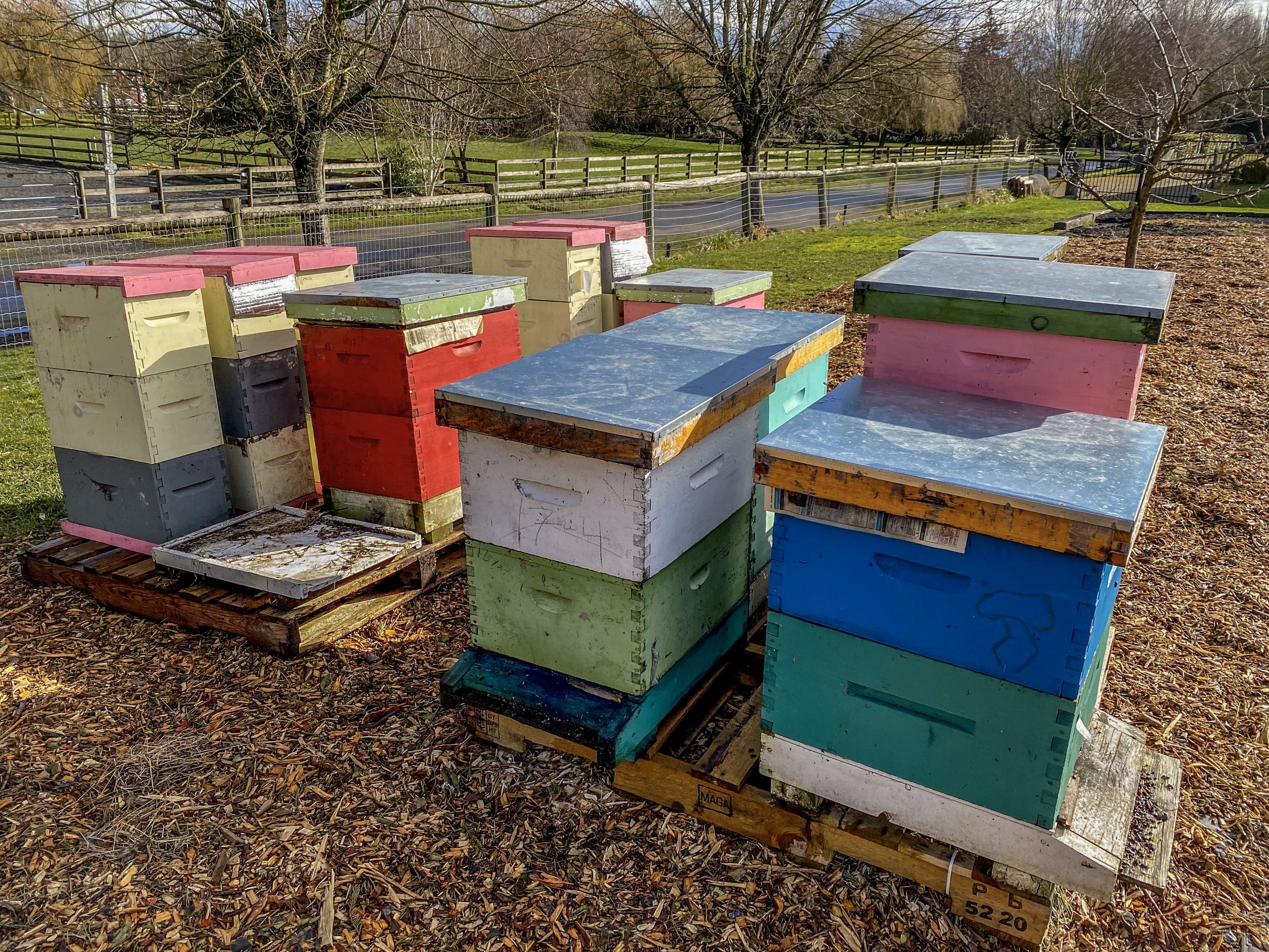 Beehives - Our Farm, Vancouver